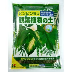 5L 観葉植物の土