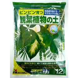 12L 観葉植物の土