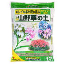 12L 山野草の土