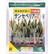 5L サンセベリアの土