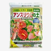 5L アンスリウムの土