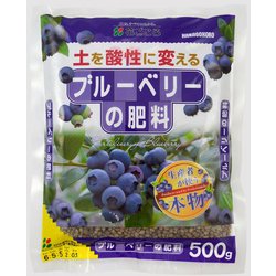 500g ブルーベリーの肥料