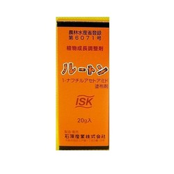 ルートン 20g