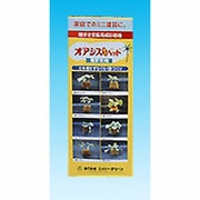 タネまき用 オアシスミニベット