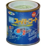 水性スーパーコート [1/12L パステルグリーン]