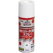 カラーサビ鉄用スプレー [300mL 白]