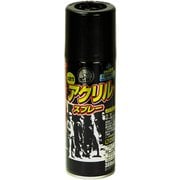 BIGPRO アクリルスプレー 300ML 黒