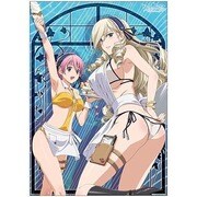 ワルキューレロマンツェ お風呂ポスター 水着エプロン [キャラクターグッズ]