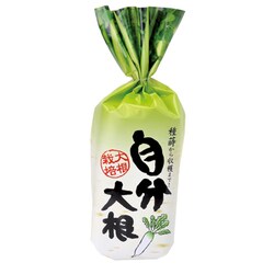 ヨドバシ Com 聖新陶芸 Gd 391 野菜栽培セット 自分大根 通販 全品無料配達