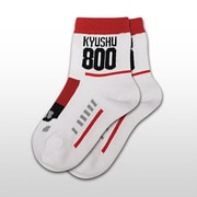 鉄下ロング 800系つばめ [靴下]