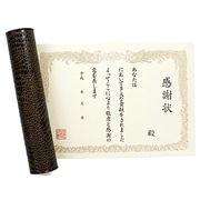 賞状色紙 感謝状