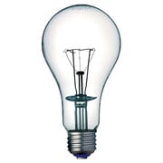 白熱電球 防爆形照明器具用 E26口金 220V 100W BB220V100W