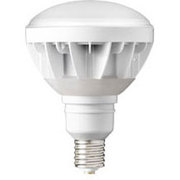 LED電球 E39口金 電球色 45W 白色塗装 レディオック LDR45LHE39W830