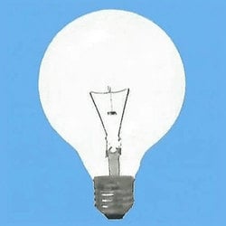 白熱電球 ボールランプ E26口金 220V 20W形 95mm径 クリア 220V用 G95E26220V20WC