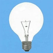 白熱電球 ボールランプ E26口金 220V 20W形 95mm径 クリア 220V用 G95E26220V20WC
