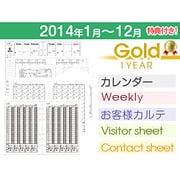リフィルセット GOLD-1Y 2014-1-12