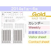 リフィルセット GOLD-HY 2014-1-6