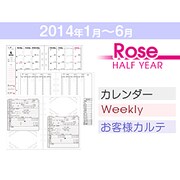 リフィルセット ROSE-HY 2014-1-6