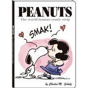 P-11720 [2014年度版 B6マンスリー手帳 SNOOPY/VINTAGE ルーシー]