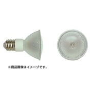 メタルハライドランプ CSC20WCMX70