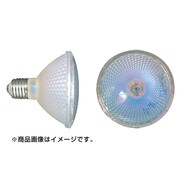 メタルハライドランプ CSC20WPWW95