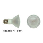 メタルハライドランプ CSC20WWN70