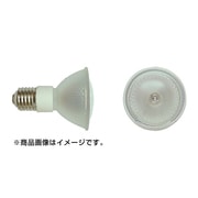 メタルハライドランプ CSC20WWM70