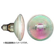 CSC70WPWB