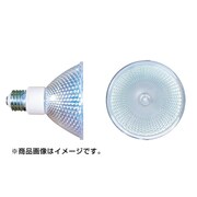CSC50WPWC95