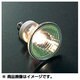 白熱電球 ME9505299