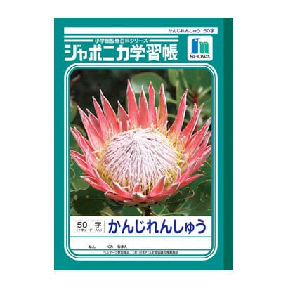 返品交換不可 Jl 48 ジャポニカ学習帳 漢字練習 十字リーダー入り 50字 B5判