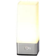 LED人感センサーライト YL-005S
