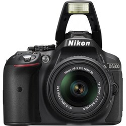 ヨドバシ.com - ニコン NIKON D5300 18-55 VR II レンズキット