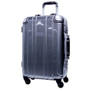 ALMINA（アルミナ） 旅行日数目安：2～3泊 40L TSAロック搭載 シルバー FB0722