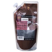 CC-005 [下地用塗料 スパウトパック 詰替200ml バーントアンバー]