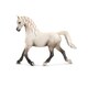 13761 アラビア馬 (メス) [HORSE CLUB]