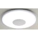LEDシーリングライト ～8畳用 調光 昼光色 リモコン付 CL-38D