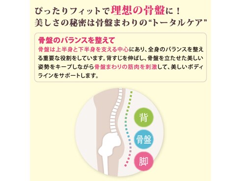 ヨドバシ.com - ツカモトコーポレーション AIM-FN023(DB