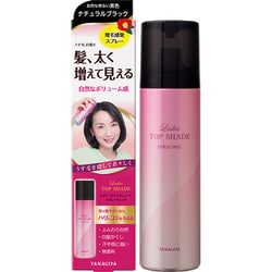 レシーストップシェード スプレーウィッグBK 100g
