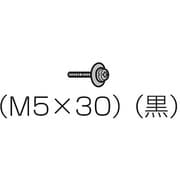テレビ本体固定用ねじ THEL079N