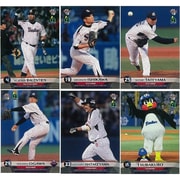 BBM東京ヤクルトスワローズ ベースボールカード2014 [トレーディングカード]