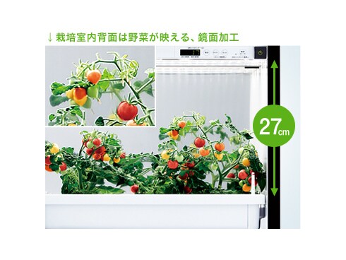 UーING グリーンファーム 水耕栽培器「Green Farm（グリーンファーム）」