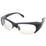 ARC-6162-01 [花粉対策グラス「EYE PROTECTION」]