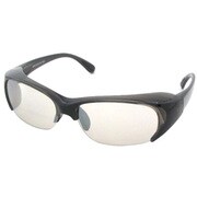 ARC-6162-03 [花粉対策グラス「EYE PROTECTION」]