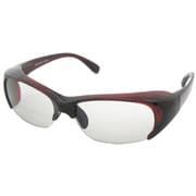 ARC-6162-13 [花粉対策グラス「EYE PROTECTION」]