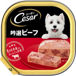 シーザーCE25 吟選ビーフ ビーフ [犬用 ウェット 100g 総合栄養食]