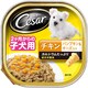 CE51N シーザー 2ヵ月からの子犬用チキン パンプキン・チーズ入り100g [ドッグフード ウェット]