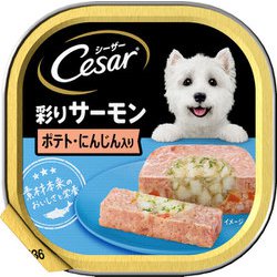 CE36N シーザーあじわいサーモン風味 ポテトとにんじん入り [犬用 ウェット 100g 総合栄養食]