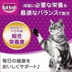 ヨドバシ.com - マースジャパン カルカン カルカンパウチ まぐろ [猫用