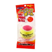 SRトーイノーパンクB大